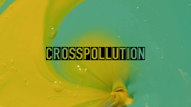 CROSSPOLLUTION 2: #CP2OUR